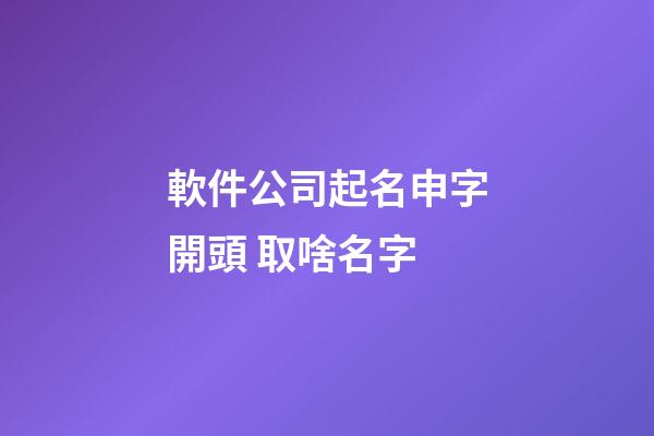 軟件公司起名申字開頭 取啥名字-第1張-公司起名-玄機派